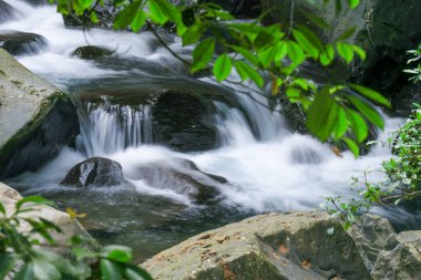Bereketli yeşilliklerle çevrili kayaların üzerinde çağlayan sakin bir şelale. Kristal berrak su yavaşça akar ve sakin bir sahne yaratır. Wulai Bölgesi, New Taipei Şehri, Tayvan.