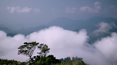 Tayvan 'ın Chiayi ilçesinin rüya gibi sisli dağlarını tecrübe edin. Bir bahar öğleden sonrası ruhani bulutları ve yemyeşil zirveleri mükemmel bir ahenkle gözler önüne serer, doğanın dingin güzelliğini somutlaştırır..