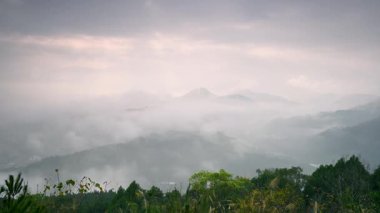 Yuchi Kasabası 'nın sisli dağlarında sakin bir bahar öğleden sonra, Nantou County, Tayvan' da yemyeşil bulutların yumuşak bulutlarla buluştuğu sakin ve resimli bir atmosfer yaratıyor..