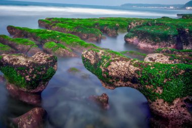 Laomei Yeşil Resifi 'ndeki engebeli kayalar, Tayvan' ın Shimen bölgesinde çarpıcı bir kıyı manzarası oluşturan canlı yeşil yosunlarla kaplıdır..