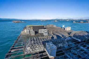 İspanya 'nın Combarro kentindeki berrak tuzlu su nehrinde midye yetiştirme salları, parlak mavi gökyüzü altında geleneksel balıkçılık yöntemlerini sergiliyor..