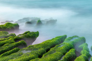 Yeşil yosunlar bahar aylarında Laomei Green Resifi 'ndeki kıyı kayalarını kaplayarak yumuşak gün ışığında mavi okyanusla çarpıcı bir kontrast oluşturuyor. Laomei, Tayvan.