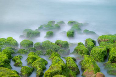Shimen, New Taipei City, Tayvan 'daki Laomei Yeşil Resifi' nin canlı yeşil yosun kaplı kayaların üzerindeki bulanık sularıyla uzun süre dingin bir şekilde görüntülenir..