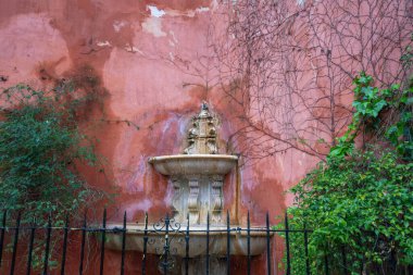 Santa Cruz 'un tarihi Yahudi Mahallesi' nde, İspanya 'nın Seville kentindeki Royal Alcazar' ın dışında, tırmanma sarmaşıklarıyla süslenmiş, yaşlanmış, dokulu bir terasota duvarına kurulmuş süslü bir taş çeşme..