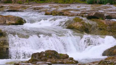 Batı İzlanda yazında, yol kenarındaki bir şelalenin güzelliğini sarı ve kırmızımsı kahverengi kayaların üzerinde, kıyı boyunca mor lupinlerle yakalayın..