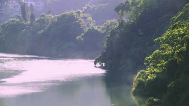 Xindian, Tayvan 'daki Guangxing Riverside Parkı' nda huzurlu bir yaz sabahı, nehrin sakin ve yansıtıcı sularında hafif bir sis dalgası var..