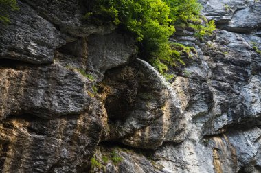 Aareschlucht Gorge, İsviçre - 30 Temmuz 2022, Aareschlucht Boğazı Aare Buzulu tarafından binlerce yıl oluşturuldu..