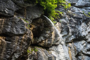 Aareschlucht Gorge, İsviçre - 30 Temmuz 2022, Aareschlucht Boğazı Aare Buzulu tarafından binlerce yıl oluşturuldu..