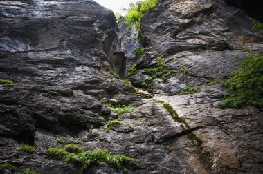 Aareschlucht Gorge, İsviçre - 30 Temmuz 2022, Aareschlucht Boğazı Aare Buzulu tarafından binlerce yıl oluşturuldu..