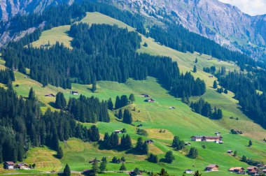 Adelboden, İsviçre - 24 Temmuz 2022 - Adelboden köyü ve şehir merkezi yaz manzarası