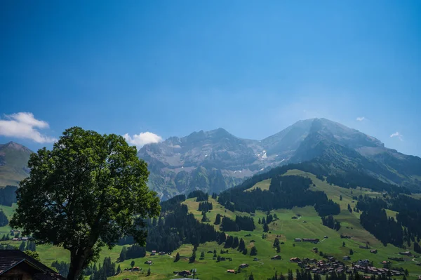Adelboden Schweiz Juli 2022 Sommarutsikt Över Byn Adelboden Och Stadens — Stockfoto