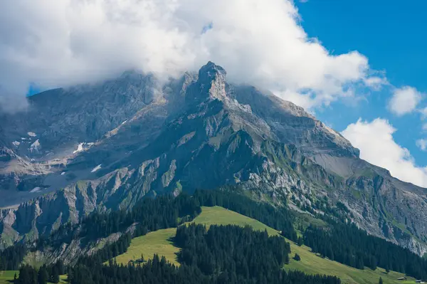 Adelboden, İsviçre - 24 Temmuz 2022 - Adelboden köyü ve şehir merkezi yaz manzarası