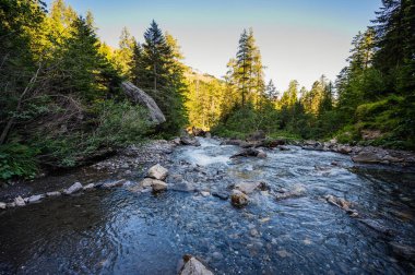 Adelboden, İsviçre - 25 Temmuz 2022 - Engstligen Falls dağlardaki İsviçre Alplerine düştü.