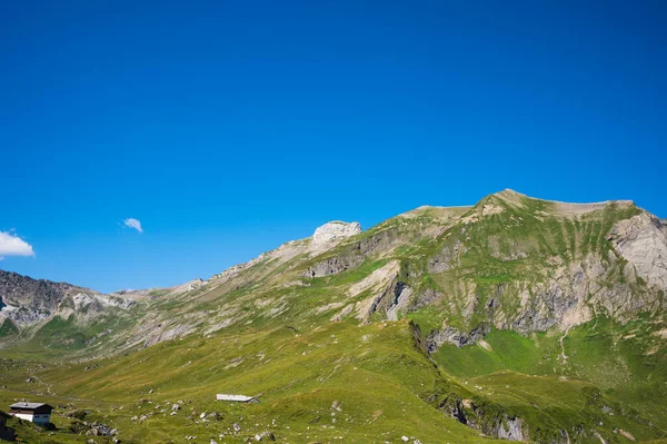 Engstligenalp, İsviçre - 25 Temmuz 2022 - Engstligengrat yürüyüş yolu, İsviçre Alpleri, İsviçre