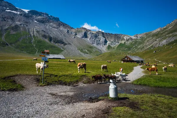 stock image Engstligenalp, Switzerland - July 25, 2022 - View of Engstligenalp from the Engstligengrat hiking trail, Swiss Alps, Switzerland