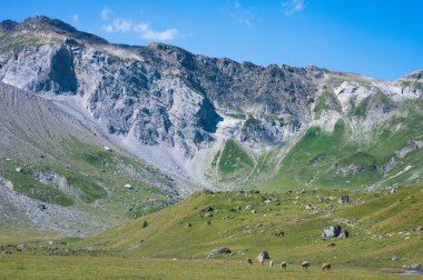 Engstligenalp, İsviçre - 25 Temmuz 2022 - Engstligengrat yürüyüş yolu, İsviçre Alpleri, İsviçre