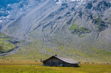 Engstligenalp, İsviçre - 25 Temmuz 2022 - Engstligengrat yürüyüş yolu, İsviçre Alpleri, İsviçre