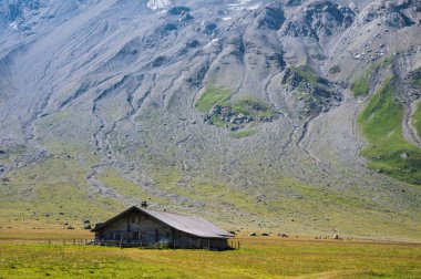 Engstligenalp, İsviçre - 25 Temmuz 2022 - Engstligengrat yürüyüş yolu, İsviçre Alpleri, İsviçre