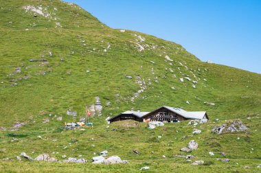 Engstligenalp, İsviçre - 25 Temmuz 2022 - Engstligengrat yürüyüş yolu, İsviçre Alpleri, İsviçre