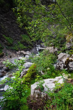 Adelboden, İsviçre - 26 Temmuz 2022 - Adelboden köyünde yürüyüş - Cholerenschlucht 'un güzel şelaleleri ve mağaraları