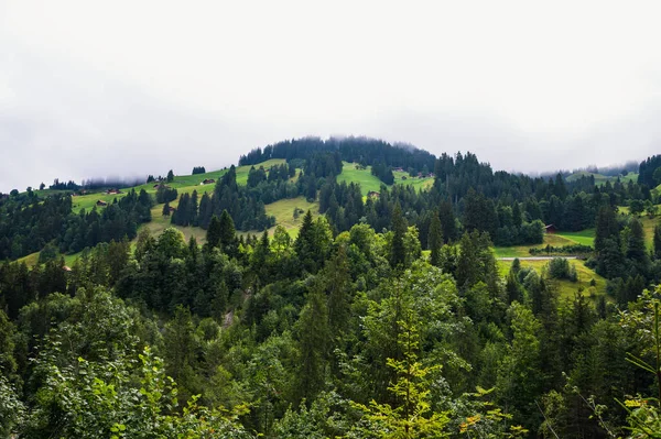 Adelboden, İsviçre - 26 Temmuz 2022 - Adelboden köyünde yürüyüş - Cholerenschlucht 'un güzel şelaleleri ve mağaraları