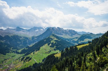 Adelboden, İsviçre - 24 Temmuz 2022 - Adelboden köyü ve şehir merkezi yaz manzarası