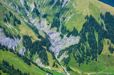 Adelboden, İsviçre - 24 Temmuz 2022 - Adelboden köyü ve şehir merkezi yaz manzarası