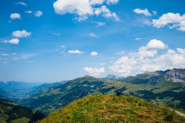 Adelboden, İsviçre - 24 Temmuz 2022 - Adelboden köyü ve şehir merkezi yaz manzarası