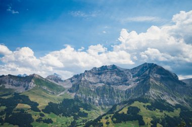 Adelboden, İsviçre - 24 Temmuz 2022 - Adelboden köyü ve şehir merkezi yaz manzarası