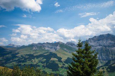 Adelboden, İsviçre - 24 Temmuz 2022 - Adelboden köyü ve şehir merkezi yaz manzarası