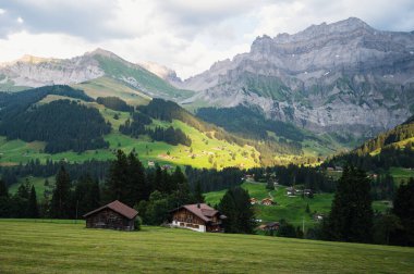 Adelboden, İsviçre - 24 Temmuz 2022 - Adelboden köyü ve şehir merkezi yaz manzarası