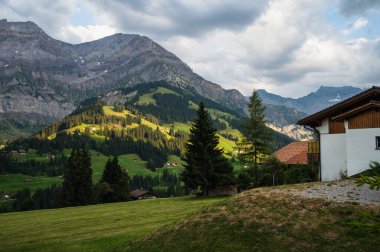 Adelboden, İsviçre - 24 Temmuz 2022 - Adelboden köyü ve şehir merkezi yaz manzarası