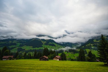 Adelboden, İsviçre - 24 Temmuz 2022 - Adelboden köyü ve şehir merkezi yaz manzarası