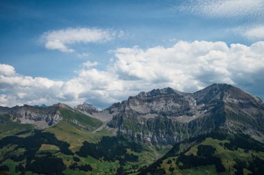 Adelboden, İsviçre - 24 Temmuz 2022 - Adelboden köyü ve şehir merkezi yaz manzarası