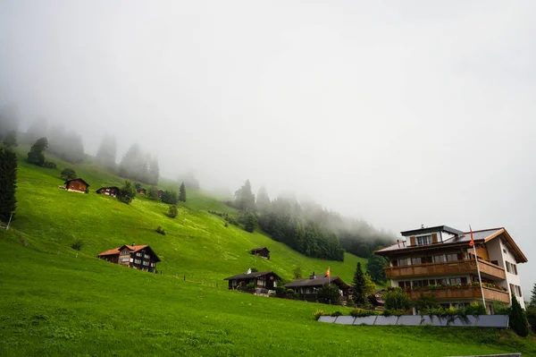 Adelboden, İsviçre - 24 Temmuz 2022 - Adelboden köyü ve şehir merkezi yaz manzarası