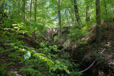 Sakson İsviçre, Almanya - 01 Mayıs 2024 - Sakson İsviçre 'de yürüyüş ve manzara keşfi.