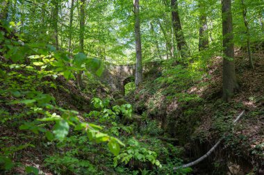 Sakson İsviçre, Almanya - 01 Mayıs 2024 - Sakson İsviçre 'de yürüyüş ve manzara keşfi.