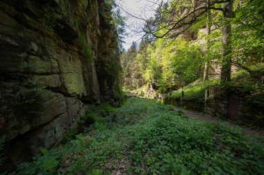 Sakson İsviçre, Almanya - 01 Mayıs 2024 - Sakson İsviçre 'de yürüyüş ve manzara keşfi.