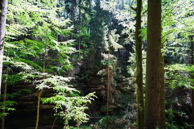 Sakson İsviçre, Almanya - 01 Mayıs 2024 - Sakson İsviçre 'de yürüyüş ve manzara keşfi.