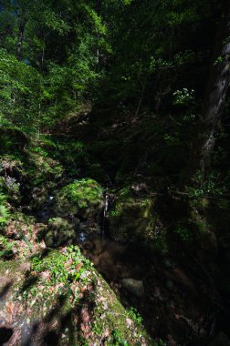 Sakson İsviçre, Almanya - 01 Mayıs 2024 - Sakson İsviçre 'de yürüyüş ve manzara keşfi.