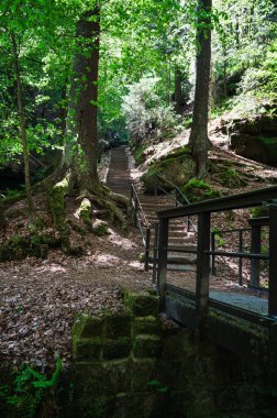 Sakson İsviçre, Almanya - 01 Mayıs 2024 - Sakson İsviçre 'de yürüyüş ve manzara keşfi.