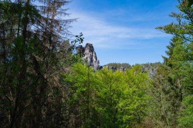 Sakson İsviçre, Almanya - 01 Mayıs 2024 - Sakson İsviçre 'de yürüyüş ve manzara keşfi.