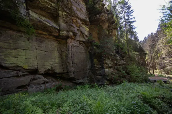 Sakson İsviçre, Almanya - 01 Mayıs 2024 - Sakson İsviçre 'de yürüyüş ve manzara keşfi.