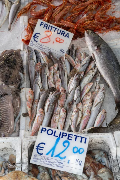 Uma Loja Itália Que Vende Peixe Fresco Incluindo Polvo Pequeno — Fotografia de Stock