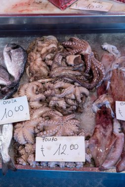 taze pctopus (çeviri: pulpo) ve deniz çipurası (çeviri: orata) İtalyan balık pazarında satılmaktadır.