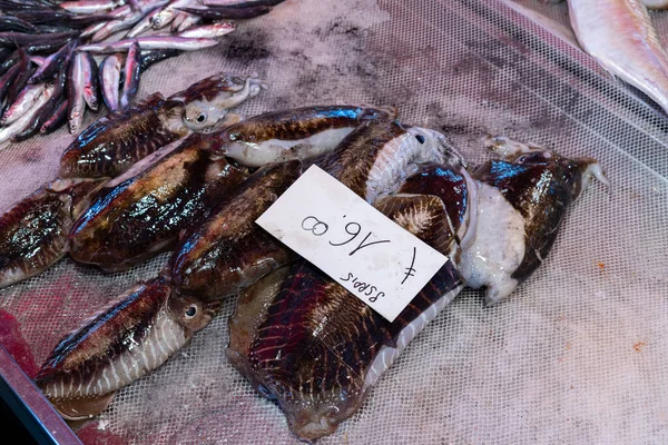 Peixe Fresco Vendido Num Mercado Italiano Com Seppie Tradução Choco — Fotografia de Stock