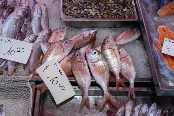 생선은 이탈리아 시장에서 매달린 바리와 현지어 가지고 수평으로 팔리고 로열티 프리 스톡 사진