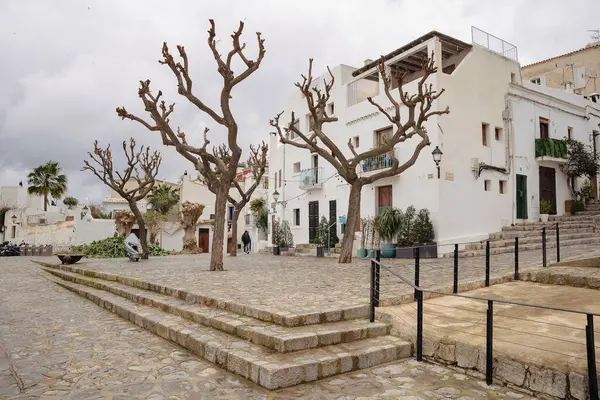 Eski İbiza 'da ağaçlarla dolu sessiz bir meydan, insan yok, gri gökyüzü
