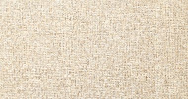  Linen Texture Border Background.