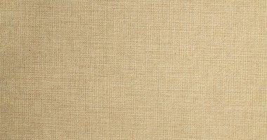 İşlenmemiş kumaştan dokuma tekstil tuvali